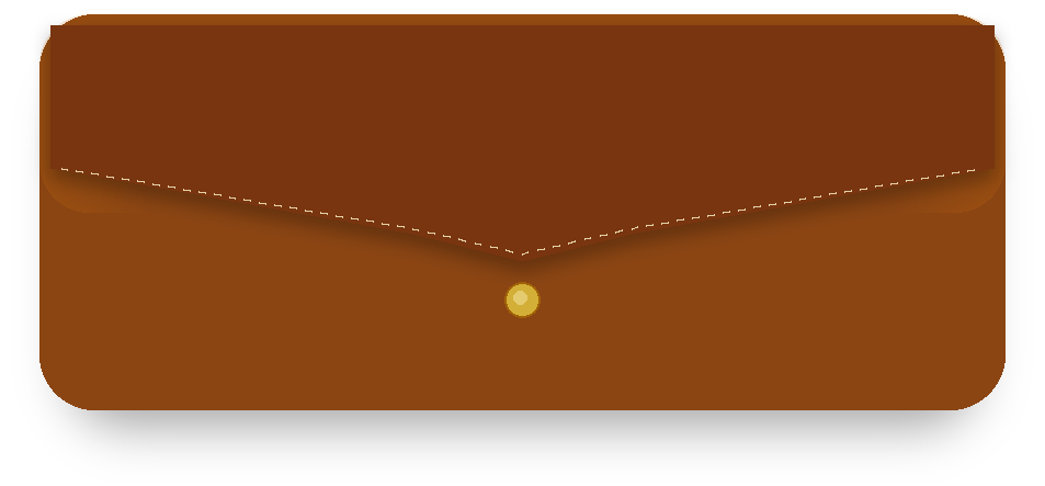 Saddle Leather Case